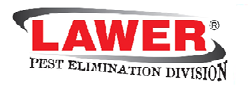 PLUME Logo