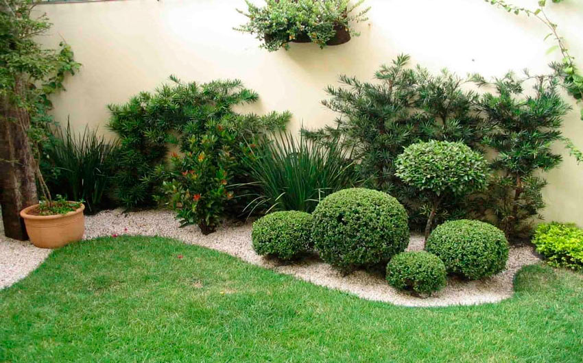A Lawer dedetizadora oferece serviços para áreas verdes, oferecemos serviços no controle de pragas em quintais, jardins e afins.